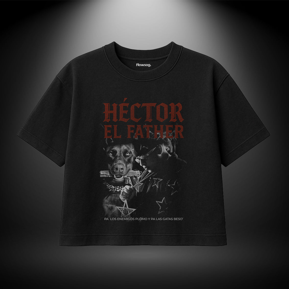Remera Boxy Fit - Diseño Hector El Father